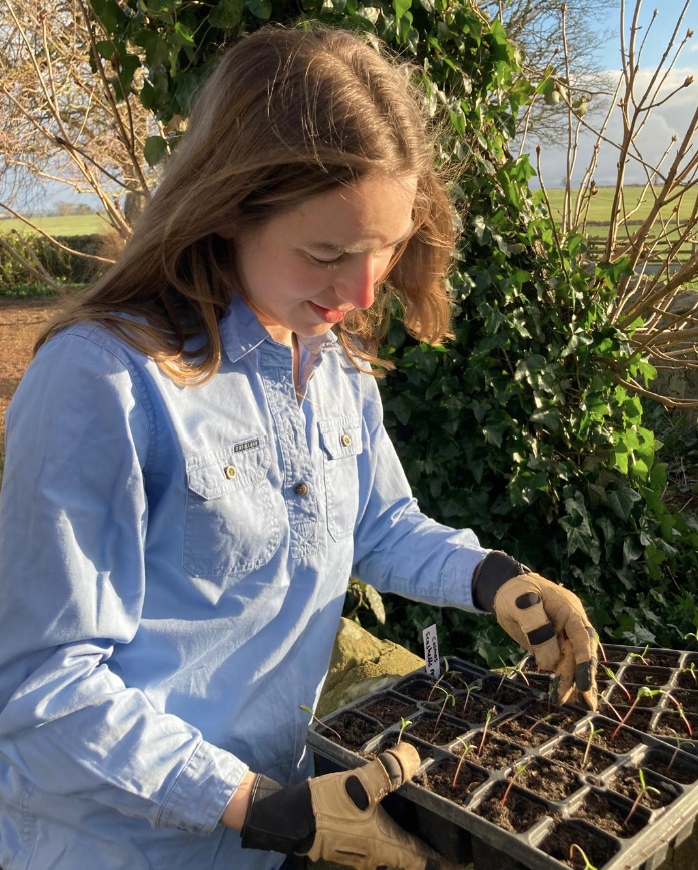 Cultivating Comfort: Why RB Sellars Shirts are a Gardener's Best Friend